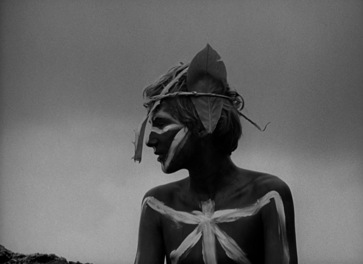 LORD OF THE FLIES | Writing a Film Synopsis
